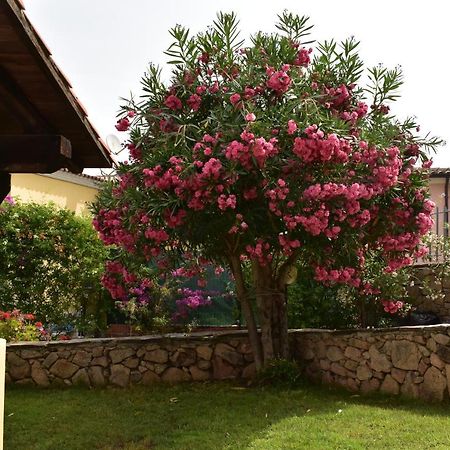 Splendida Villetta Tavolara 1 Vaccileddi Exterior foto