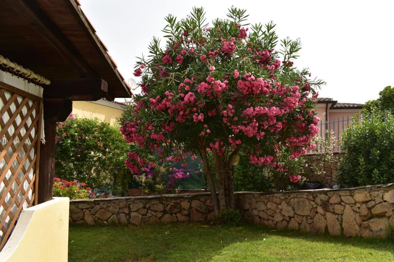 Splendida Villetta Tavolara 1 Vaccileddi Exterior foto